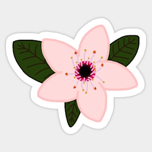 Cherry Blossom Flower Sticker